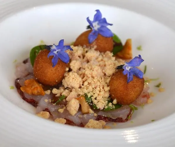 Logis L'adourable Soublecause