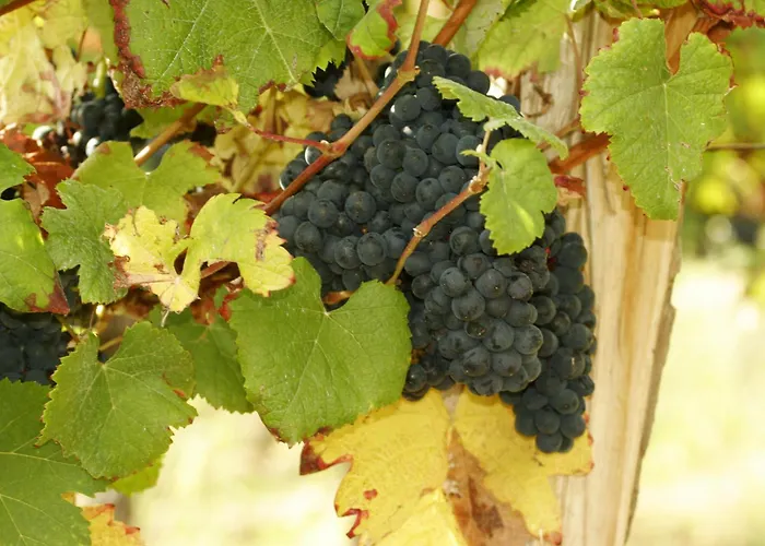 Hotel Logis L'adourable 3*