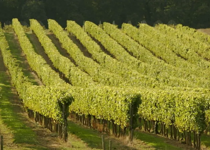 Logis L'adourable Hotel