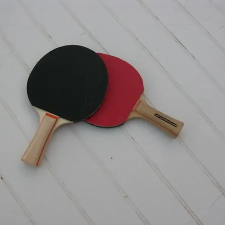 Logis L'adourable מלון 3*