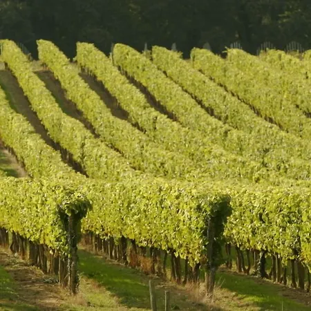 Logis L'adourable מלון